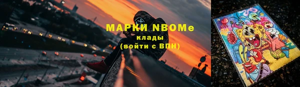 мет Алексин
