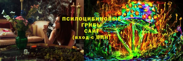 МДПВ Абинск