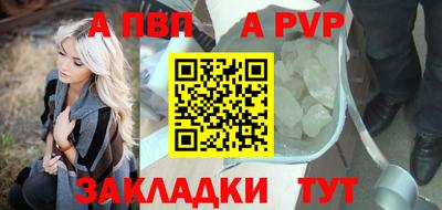 стаф Гай