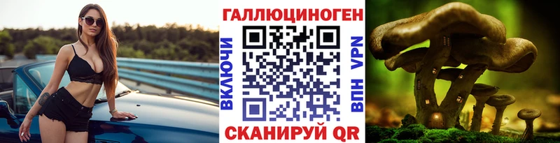 darknet формула Полевской Галлюциногенные грибы GOLDEN TEACHER где купить наркоту