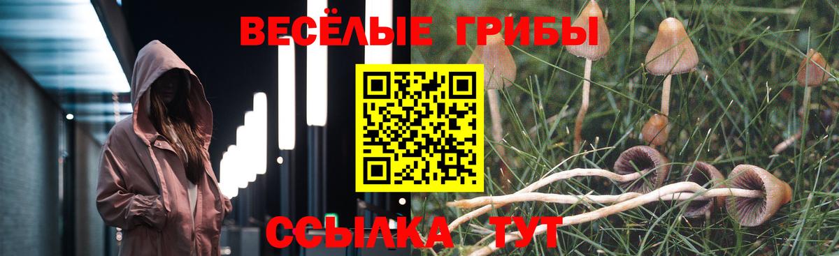 Полевской  Галлюциногенные грибы MAGIC MUSHROOMS  Вход с VPN 